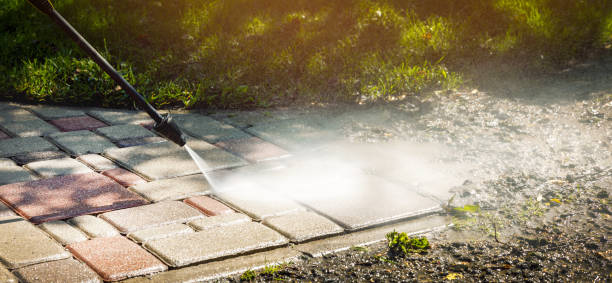 Best Solar Panel Cleaning  in Broadview Park, FL